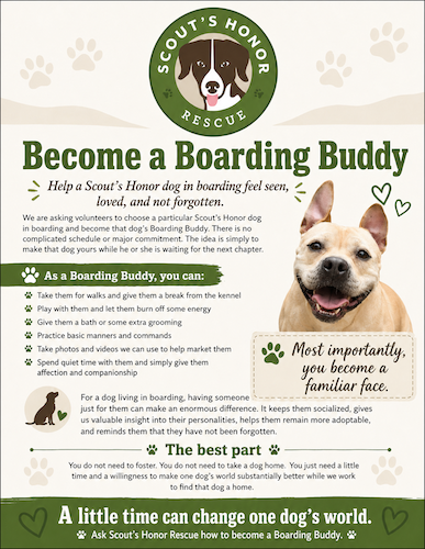 boardingbuddy